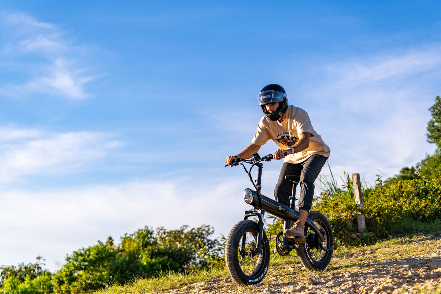 Q3 Plus: All-Terrain Mountain E-Bike-Green Gears Elect