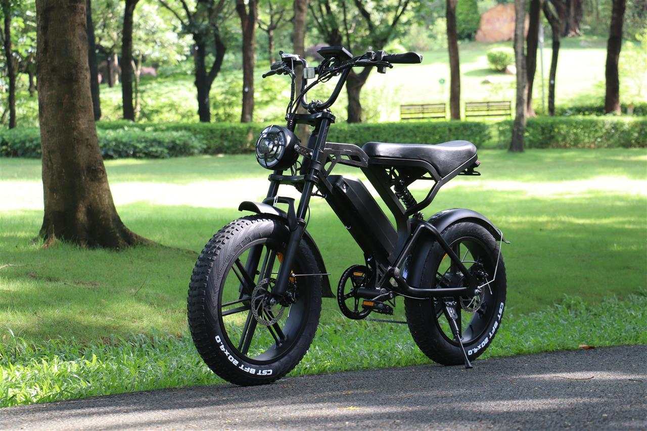 Qmwheel V20 Moto -Cross Electric Bike-Green Gears Elect