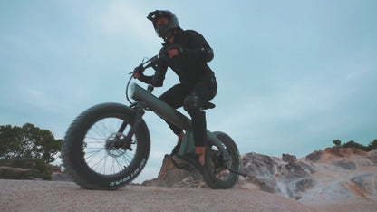 Q3 Plus: All-Terrain Mountain E-Bike 7 Speed